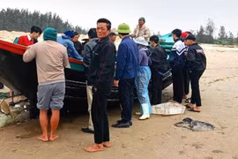 Hà Tĩnh: 3 thuyền cá bị sóng đánh chìm