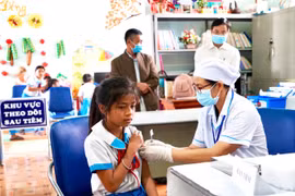 Nguy cơ gia tăng bệnh dại mùa nắng nóng