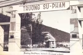 50 năm ấy biết bao nhiêu tình 