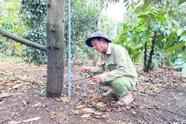 Thúc đẩy phát triển kinh tế số