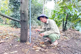 Thúc đẩy phát triển kinh tế số