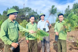 Đòn bẩy để phát triển lâm nghiệp bền vững