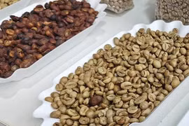 Giá cà phê hôm nay 9-5: Giá Robusta quốc tế tăng, trong nước tiếp tục giảm