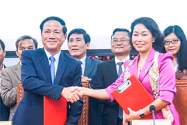 Bình Định và Vingroup hợp tác đầu tư toàn diện về chuyển đổi xanh