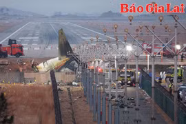 Tin thế giới ngày 12-1: Hộp đen máy bay Hàn Quốc dừng ghi dữ liệu 4 phút trước khi gặp nạn