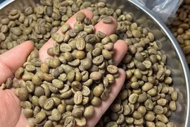 Giá cà phê hôm nay 14-5: Gây ngạc nhiên