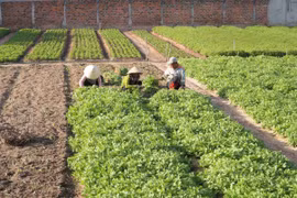 Thành phố Kon Tum: 'Chuyển mình' sau hơn 3 năm thực hiện Nghị quyết 04