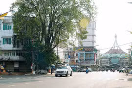 Hiện UBND TP. Pleiku đang xúc tiến xây dựng kế hoạch tổ chức phố ẩm thực đêm trên đường Nguyễn Thiện Thuật (bến xe nhỏ cũ). Ảnh: Đ.T