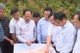 Khảo sát mở tuyến đường kết nối Lâm Đồng và Đắk Nông