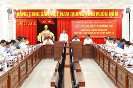 Ban Thường vụ Tỉnh ủy Bình Định và Gia Lai họp bàn phương án nhân sự
