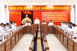 Ban Thường vụ Tỉnh ủy Bình Định và Gia Lai họp bàn phương án nhân sự