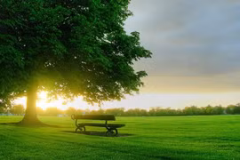 Bước chậm, thở sâu