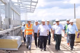 Chủ tịch UBND tỉnh Gia Lai thăm và làm việc tại dự án nông nghiệp với quy mô đầu tư gần 1.000 tỷ đồng