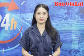 Gia Lai 24h: Du lịch Gia Lai rộn ràng vào mùa đẹp nhất trong năm
