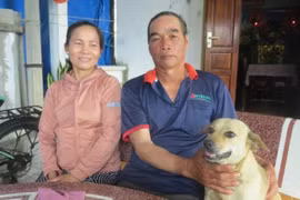 Tình người miền biển: Cứu người giữa sóng dữ