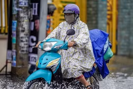 Tháng 6, TPHCM và Nam bộ mưa dông gia tăng