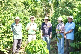 VFC đồng hành cùng nông dân phát triển nông nghiệp bền vững