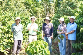 VFC đồng hành cùng nông dân phát triển nông nghiệp bền vững