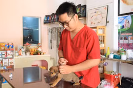 Bác sĩ thú y Nguyễn Tấn Phong tiêm phòng cho chó nuôi của khách hàng. Ảnh: H.H