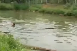 Hai cháu nhỏ chết đuối thương tâm dưới hồ nước tưới cà phê