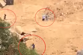 Bình Định: Công an nổ súng vây bắt nhóm 'đá tặc' quy mô lớn ở núi Hòn Chà