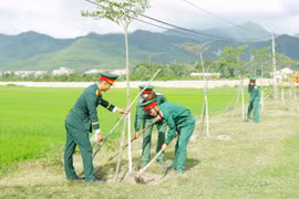 Đẩy mạnh phong trào trồng cây gây rừng