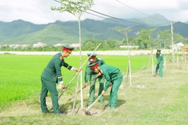 Đẩy mạnh phong trào trồng cây gây rừng