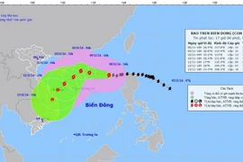 Bão số 7 diễn biến phức tạp, nguy cơ ảnh hưởng đến ven biển miền Trung