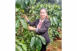 Kpuih Hạnh: Nữ cán bộ “hai trong một”