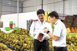 EU sắp thanh tra sầu riêng Việt Nam