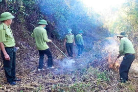 Ủy ban nhân dân huyện Kbang yêu cầu các cơ quan, đơn vị, địa phương liên quan và các đơn vị chủ rừng đẩy mạnh công tác tuyên truyền, phổ biến các quy định về PCCCR. Ảnh: M.P