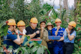 Trải nghiệm du lịch cà phê