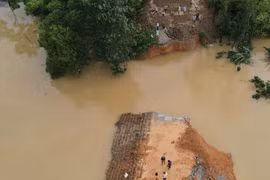 Nguy cơ lũ lớn, Bộ Nông nghiệp và Môi trường yêu cầu bảo vệ đê điều