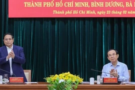 Công bố quyết định kiểm tra của Bộ Chính trị, Ban Bí thư với TP HCM, Bình Dương, Bà Rịa - Vũng Tàu