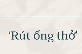 Giải mã từ điển gen Z: 'Rút ống thở' là gì?