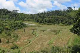 Kon Tum: Động đất có độ lớn 3,8 xảy ra tại huyện Kon Plông