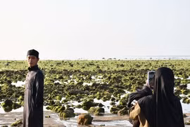 Tận thấy bãi rêu xanh 4 km 'cực chill' ở Ninh Thuận