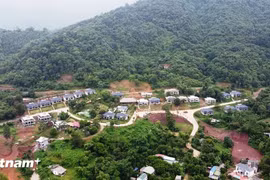 Từ 1/1/2025, bãi bỏ 28 văn bản quy phạm pháp luật trong lĩnh vực đất đai