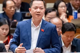 Đại biểu Quốc hội ủng hộ xoá bỏ độc quyền vàng miếng