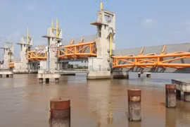 Thúc tăng trưởng 2 con số đến từ những dự án cụ thể