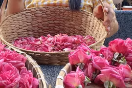 Những loại trà từ hoa quả tốt cho sức khỏe ngày tết