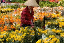 Những phong tục đẹp trong gia đình Việt dịp Tết