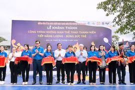 Đóng góp trí tuệ, sức trẻ giải quyết những việc khó, việc mới