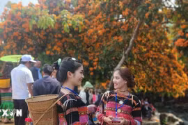 Hàng nghìn du khách hòa mình với Lễ hội hoa trang suối Tà Má