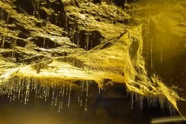 Huyền bí động Ngườm Ngao