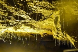 Huyền bí động Ngườm Ngao