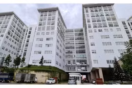 Sau sáp nhập, Lâm Đồng trở thành tỉnh có diện tích lớn nhất Việt Nam