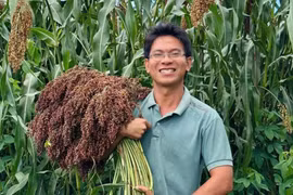 Việc làm xanh: Giấc mơ vườn rừng và lý tưởng sống vì nền nông nghiệp sạch