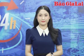 Gia Lai 24h: Gia Lai phấn đấu đến năm 2025 có 55 ngàn ha cây ăn quả