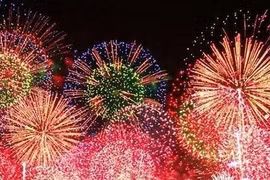 Bộ Quốc phòng trả lời cử tri về việc sử dụng, độc quyền cung cấp pháo hoa